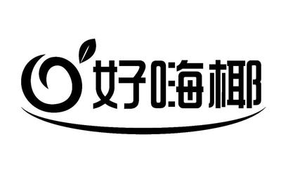 海南省匯發(fā)椰食品科技股份