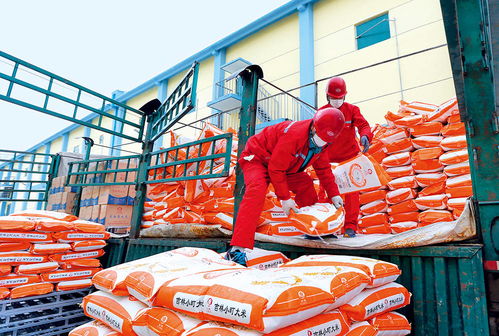 瞭望 扶貧要避免政策沒了,企業走了,項目黃了 專訪首農食品集團董事 首農股份公司董事長尹彥勛